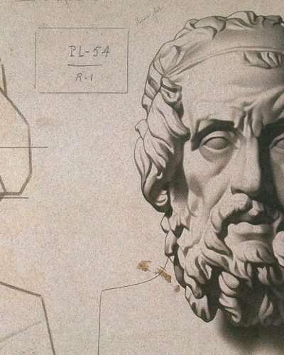 Curabitur mauris magna, luctus eget mi cursus